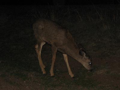 IMG_2077.jpg
